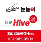 눈높이 대교 김포한강 Hive
