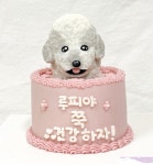 푸플리 케이크