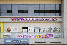 아이러브펫  동물병원
