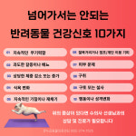 온누리동물의료센터