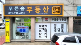 푸른숲부동산공인중개사사무소