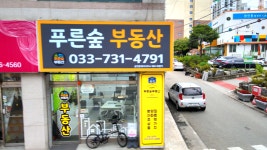 푸른숲부동산공인중개사사무소