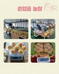 춘향골농장
