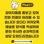 호다다 애견 호텔 유치원 목욕