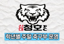 신대청호태권도