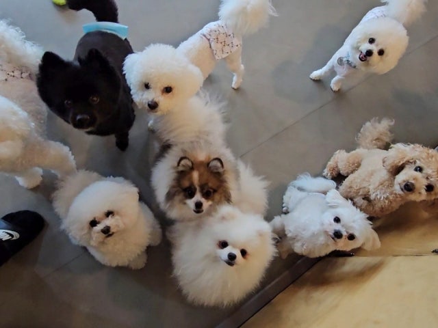 칸지독