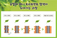 퀸즈헤나와 화려한외출 | 퀸즈헤나 천곡점