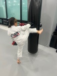세교 mma 태권도장