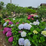 백령하늬해변펜션