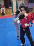 세교 mma 태권도장