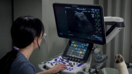 24시 노아동물메디컬센터