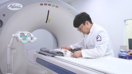 24시 노아동물메디컬센터