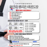 용인대챔피온태권도