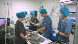 24시 노아동물메디컬센터