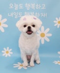똥강쥐