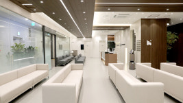 성모365코끼리정형외과의원