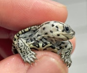 예쁜동물나라수족관 대전점