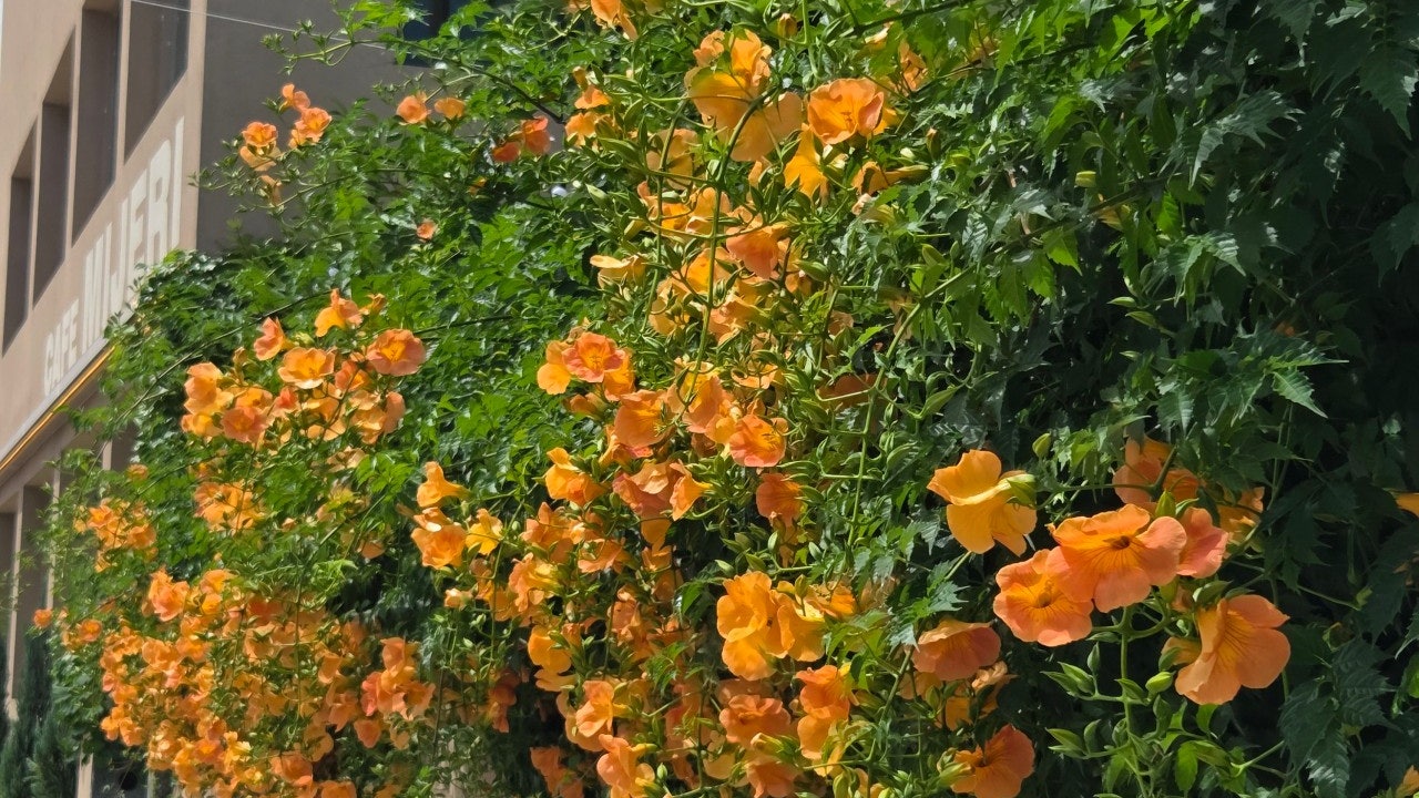 미제리 군산은파점