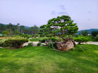 송시재