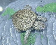 예쁜동물나라수족관 대전점