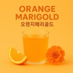 달달씨유