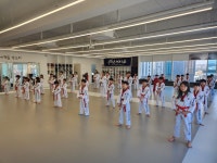 라이온태권스쿨