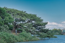 수산리농어촌체험휴양마을협의회