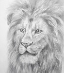 영재들의미술상자 대구수성동일하이빌레이크교육원