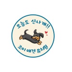 조이애견유치원