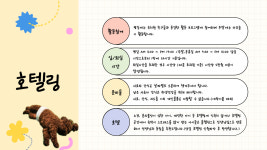 멍더가든 애견유치원