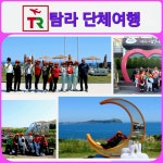 탐라여행사