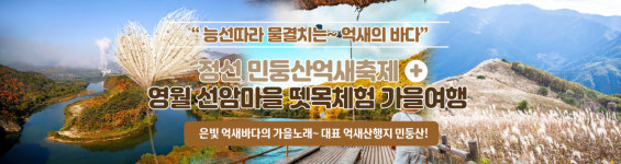 인천투어