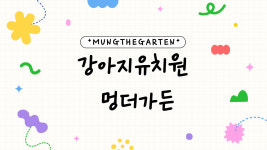 멍더가든 애견유치원