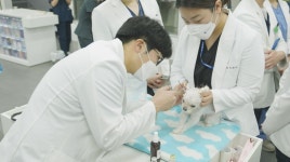 계양SKY동물메디컬센터