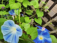 천리포전망좋은펜션