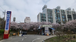 장일셀프세차장
