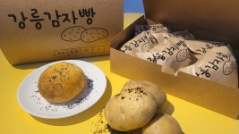 강릉감자빵