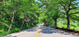 지리산 백무동 연리지펜션