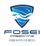 포세이프리다이빙