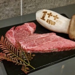 투뿔한우1++