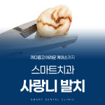 스마트치과의원
