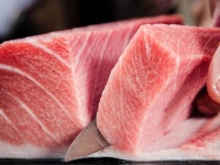 참치가온다 신림본점