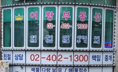 여왕공인중개사사무소