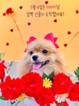 프라독 수원인계본점