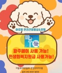 아로멍