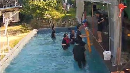 이상구표고농장스타펜션