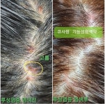 큐사랑 옥포돌미로점