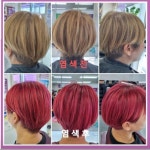 큐사랑 옥포돌미로점