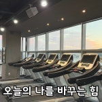 인스타짐 독산점