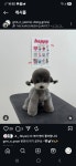 동그리아